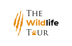 Logo-png-WildLife-Photography